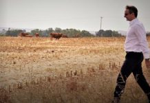 Ο Κ.Μητσοτάκης εισέπραξε αγροτική επιδότηση