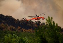 Δαδιά: Εθνική καταστροφή