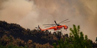 Δαδιά: Εθνική καταστροφή