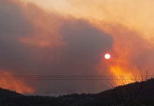 Αγωνία στη Δαδιά Έβρου