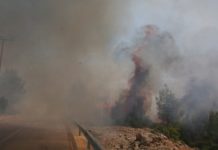 Φωτιές σε όλη την Ελλάδα