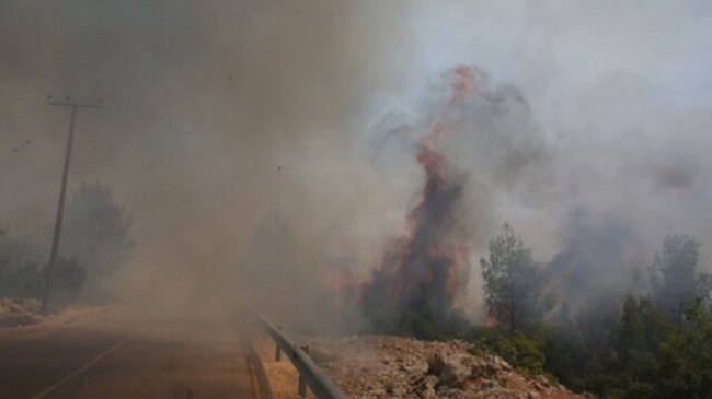 Φωτιές σε όλη την Ελλάδα