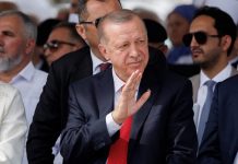 Έχει κι αλλού πορτοκαλιές…