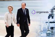 Πώς η κυβέρνηση Μητσοτάκη