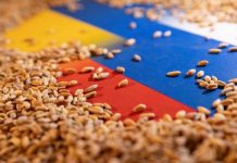 Κρεμλίνο: Αποχωρεί από την συμφωνία των σιτηρών