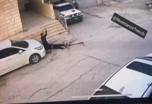 ΦΟΝΙΑΔΕΣ:-Τρία παιδιά νεκρά στην Τζενίν από ισραηλινά ανθρωπόμορφα τέρατα(video)