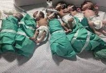 Γάζα:-Αυξάνονται οι νεκροί στα νοσοκομεία της-Σε ομαδικούς τάφους θάβονται οι νεκροί