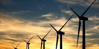 Παγκόσμιο σοκ… Τεράστια η καταστροφή από τις υδροηλεκτρικές στοές των ανεμογεννητριών – Τι δείχνει νέα έκθεση