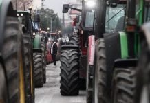 Ξεσηκωμός στην Κρήτη στη σκιά του ΟΠΕΚΕΠΕ: Στήνουν μπλόκα οι κτηνοτρόφοι