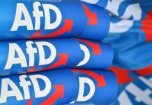 Γερμανία : Η κεντροδεξιά προωθεί την κατάργηση της διπλής υπηκοότητας για να «κόψει» την λαϊκή δεξιά