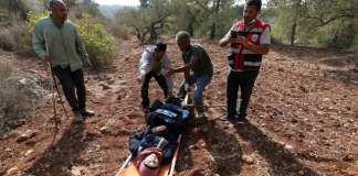 Διαρκής σιωνιστική αυθαιρεσία και θράσος !-Δυτ. Όχθη: Συμμορίες Ισραηλινών εποίκων επιτέθηκαν σε Παλαιστίνιους και δημοσιογράφους