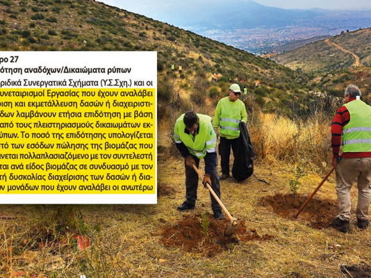 Στήνουν μπίζνες με τα δάση-Μετά τις αναδασώσεις, υπουργικές αποφάσεις παραχωρούν και τη διαχείριση δασικών συστημάτων σε ιδιώτες.