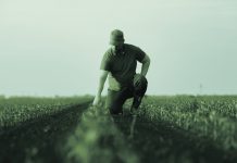 Οι νεκροθάφτες του πρωτογενούς τομέα και της παραγωγής στην Ελλάδα