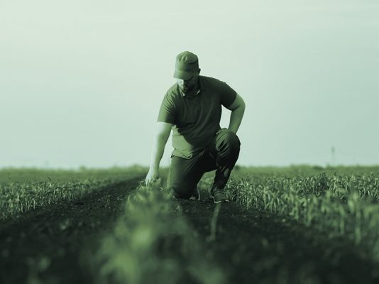 Οι νεκροθάφτες του πρωτογενούς τομέα και της παραγωγής στην Ελλάδα