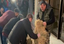 Λάρισα: Αγροτικό «μπλόκο» και σανό σε γραφεία βουλευτών της ΝΔ