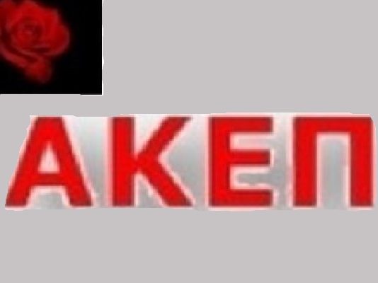 ΑΚΕΠ: Για τις αγροτικές κινητοποιήσεις και το αγροτικό κίνημα