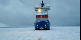 Μαγευτικό βίντεο: Ρωσικό παγοθραυστικό στην Θάλασσα του Κάρα παρακολουθείται από πολική αρκούδα