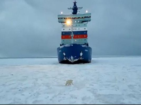 Μαγευτικό βίντεο: Ρωσικό παγοθραυστικό στην Θάλασσα του Κάρα παρακολουθείται από πολική αρκούδα