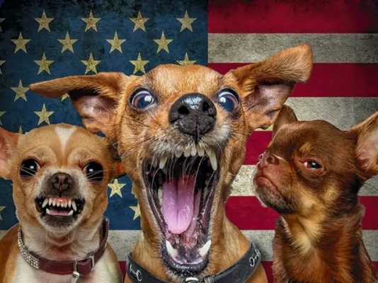 Τσακάλια της Βαλτικής: Πώς πουλήθηκε η κυριαρχία της Βενεζουέλας για ένα χαμόγελο των ΗΠΑ… και το βάφτισαν «Δημοκρατία»