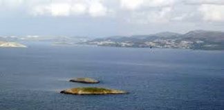 Η κ. Μ.Καρυστιανού και οι ”μισές αλήθειες”