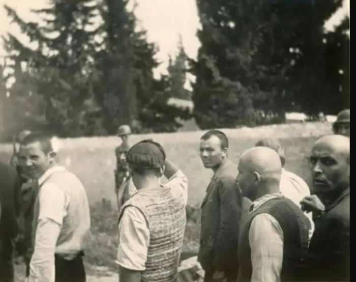 Φάλαγγες από τρολ σε διατεταγμένη υπηρεσία για να βγάλουν λάδι τις ναζιστικές θηριωδίες