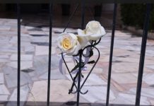 Αποτύχαμε…