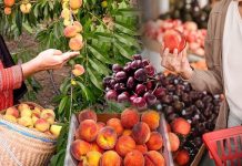 Πόσο πάει το καπέλο; Υπερδιπλάσιες ανατιμήσεις από το χωράφι στο ράφι για τα αγροτικά προϊόντα