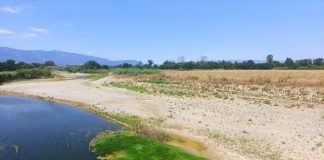 «Αδειάζει» επικίνδυνα ο θεσσαλικός Πηνειός: Πού οφείλεται η λειψυδρία σύμφωνα με τους ειδικούς (φωτογραφίες)