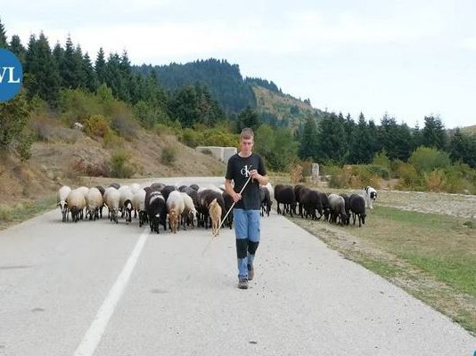 20 Χρονών και Βασιλιάς στα Βουνά! Από τα Θρανία… στα Πρόβατα! (video)