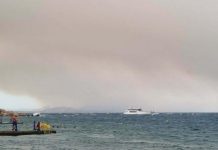 ΔΕΔΔΗΕ και χωματερές οι μεγάλοι εμπρηστές