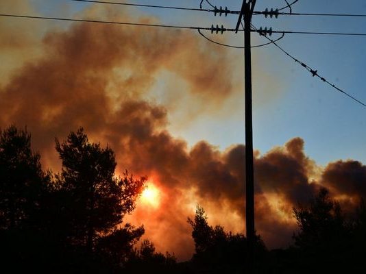 Δασικές Πυρκαγιές: Η πρόληψη, η καταστολή και οι κοινωνικές προεκτάσεις