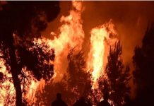 Πυρομετεωρολόγος Θ.Γιάνναρος για την φωτιά στην Βοιωτία: «Το μέγεθος της καταστροφής είναι ασύλληπτο»