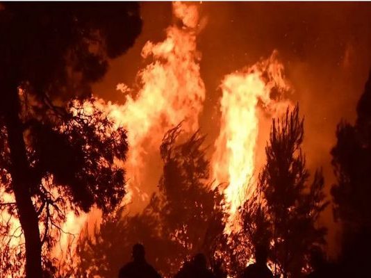 Πυρομετεωρολόγος Θ.Γιάνναρος για την φωτιά στην Βοιωτία: «Το μέγεθος της καταστροφής είναι ασύλληπτο»