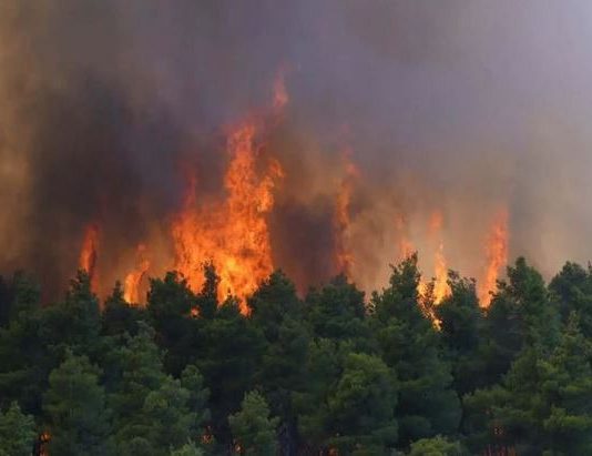 Εγκληματικές και διαχρονικές πολιτικές ευθύνες-Φωτιά στη Βοιωτία: Δραματικές εικόνες από το Κρύο Πηγάδι