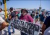 «Βράζει» ο αγροκτηνοτροφικός κόσμος με την κυβέρνηση – Νέο «χτύπημα» από τον «γαλάζιο» αγροτοσυνδικαλιστή Λίτο