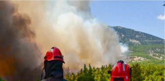 Ε.Λέκκας για φωτιές σε Αττική και Βοιωτία: «Ακόμη και μικρή βροχή μπορεί να προκαλέσει προβλήματα»