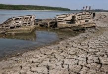 Ξηρασία – σοκ στον Δούναβη γονατίζει την Ευρώπη – Παραλύουν οι πυρηνικοί σταθμοί, τρόμος μπρος στο ολικό blackout